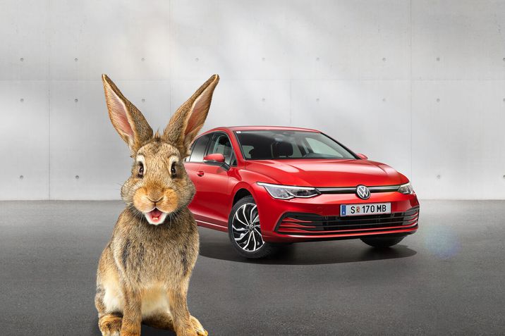 Golf Rabbit